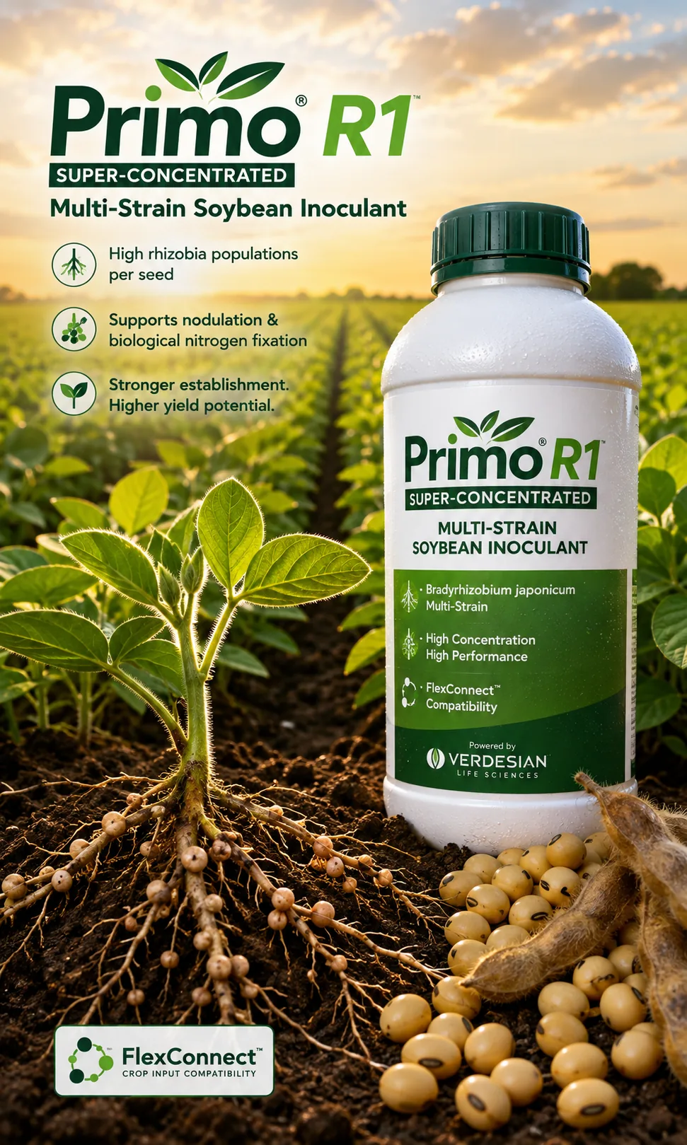 Primo R1 super-concentrated multi-strain soybean inoculant
