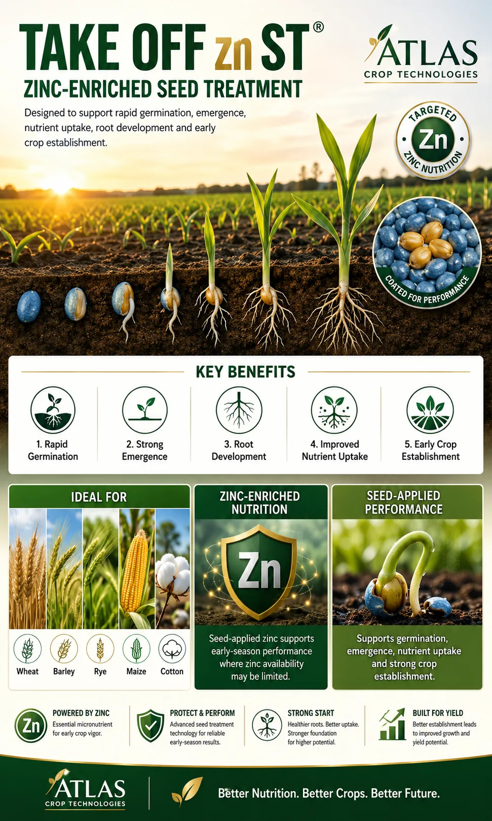 Take Off zn ST® zinc-enriched seed treatment